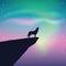 Howling wolf looks in the colorful starry sky with aurora borealis
