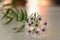 Hoya bella bloom, close up on a white background.