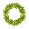 Ð¡hristmas wreath isolated on white background.