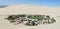 Huacachina Oasis in Ica city in Peru