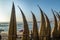 Huanchaco Beach and the traditional reed boats & x28;caballitos de totora& x29; - Trujillo, Peru