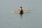 HUANCHACO, TRUJILLO, PERU: Reed canoes called caballito de totora in the traditional Huanchaco beach