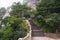 Huangshan mountain stairs path into forest