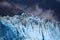 Hubbard Glacier in Alaska, United States