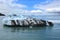 Hubbard Glacier in Yakutat Bay