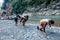 Hubei Badong along the river town tracker