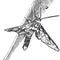 Hubner's wasp moth 3D sketch