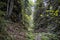 Huciaky gorge, Low Tatras mountains, Slovakia