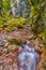 Huciaky gorge at Low Tatras mountains under Salatin