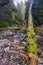 Huciaky gorge at Low Tatras mountains under Salatin