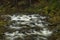 Huciva Desna river after rain morning near Kouty nad Desnou