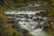 Huciva Desna river after rain morning near Kouty nad Desnou