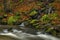 Huciva Desna river after rain morning near Kouty nad Desnou