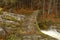 Huciva Desna river after rain morning near Kouty nad Desnou