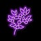 huckleberry bilbery plant neon glow icon illustration