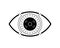 HUD retinal recognition biometric ID scan icon concept. User eye verification symbol. Person optic identity security