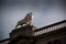 Huddersfield, West Yorkshire, UK, October 2013, the lion statue on Lion Arcade, John William Street, Huddersfield