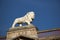 Huddersfield, West Yorkshire, UK, October 2013, the lion statue on Lion Arcade, John William Street, Huddersfield