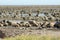 Hudson Bay Low Tide Stone Desert