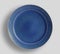 Hue Navy Blue Dinner Plate - Image, Blue shiny button,  design. - VectorDecorative paint on white background, top view - Ima