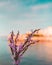 Hue shifted photo of purple tamarix flowers against blurred background of sky sea and coast