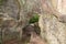 Huel Lee or Hohllay on the Mullerthal trail in Luxembourg, open cave with view to the forest, sandstone rock formation