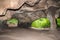 Huel Lee or Hohllay on the Mullerthal trail in Luxembourg, open cave with view to the forest, sandstone rock formation