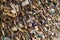 A huge amount of Love locks on the bridge in Paris