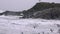 Huge amount of seagulls feeding at the coast of Maghery in County Donegal during the storm- Ireland