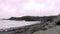 Huge amount of Seagulls feeding at the coast of Maghery in County Donegal during the storm- Ireland