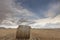 Huge bales on wheat fields