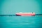 Huge big container industrial ship swimming