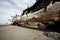 Huge bleached driftwood tree on beach