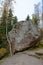 A huge boulder, and thin birch on top of a cliff