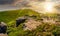 Huge boulders on the edge of hillside at sunset