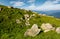 Huge boulders on a grassy slope in mountains