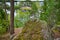 Huge boulders stones covered with moss and pine forest near beatiful fresh blue lake, Park Mon Repos, Vyborg, Russia