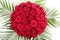 A huge bouquet of red roses. The isolated image on