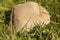Huge bovist mushroom in meadow