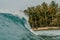 Huge breaking wave of a sea and the palm  trees in the background in Mentawai islands, Indonesia