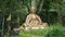 Huge Buddha statue in Bubhing Palace, Thailand. Local man walking alongside the garden