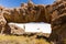 Huge cactus stone arch cave Salar De Uyuni island landscape