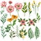 Huge collection of floral elements: flowers, leaves, branches