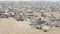 Huge colony of fur seals at Cape Cross, Namibia