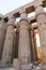 Huge columns as lotus flower Luxor temple