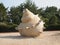Huge conch model is located on the beach