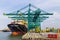 Huge container ship loaded with cranes in Antwerp container term