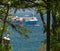 A huge container ship passing through the boss in the sea. View through the crowns of trees.