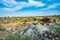 Huge deposits of stone minerals in a clearing bathed in warm sun