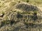 Huge Dirt Pile From Underground Sapphire Mine Australia